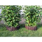 Műanyag paliszád "Orient", ~110x25 cm, kerítésléc profil, 78x21 mm, barna / antracit