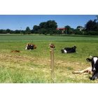 Műanyag oszlop, karó, kör alapú cölöp Ø 65 mm, 160 cm, barna