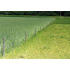 Műanyag oszlop, karó, kör alapú cölöp Ø 65 mm, 190 cm, barna