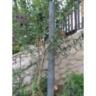 Műanyag oszlop, karó, kör alapú cölöp Ø 80 mm, 160 cm, szürke